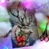 IMG_20201208_113917_864.jpg