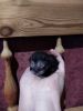 IMG_20201209_142529.thumb.jpg.63d733eb9b5c4754a9e2f78c46dbc75e.jpg
