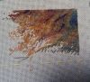 IMG_20201210_004925_239.jpg