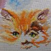 IMG_20201210_200456.thumb.jpg.26953bc22f617d80195868a41f5c4e83.jpg