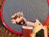 IMG_20201211_161448.thumb.jpg.0ee675adcdf6e005c02db21f92a63aea.jpg