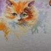 IMG_20201216_195711.thumb.jpg.9cfa07bb6f29879b81dd0a33d8b92781.jpg