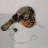 IMG_20201218_121949.thumb.jpg.d26e1ae25c9242bcec9bd99691a6f974.jpg
