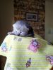IMG_20201219_121521.thumb.jpg.c73d77e8b15f54bc0674ebefa4da1a63.jpg
