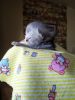IMG_20201219_121522.thumb.jpg.49acc579627d0485ed661a610de03190.jpg