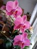 IMG_20201221_140223.thumb.jpg.cd8448e2d3a976a868f3bcb94ef6f9e0.jpg