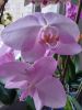 IMG_20201221_140308.thumb.jpg.e1d9525b8f4640cdf0258c36ca117782.jpg