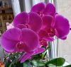 IMG_20201221_142106.thumb.jpg.8ec213488391710af8b036a079d4abd2.jpg