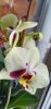 IMG_20201221_142446.thumb.jpg.4d2ce77974993332b5ed4140284120d1.jpg