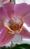 IMG_20201221_142644.thumb.jpg.3a6090da456fe9e1df063f5ab085782d.jpg