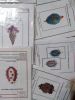 IMG_20201222_210034.thumb.jpg.69c01df089fb334d9375d0cedc6dcf6a.jpg