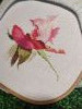 IMG_20201223_190152.thumb.jpg.8a1bf242b5bd7830a68427ba46387405.jpg?1608739599791