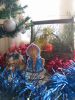 IMG_20201224_112848.thumb.jpg.da4eb0135e2f532b771e21c2a477c9db.jpg