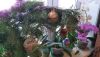 IMG_20201226_102426.thumb.jpg.90337b27e68d96185cacbc6356352d87.jpg