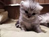 IMG_20201226_192622.thumb.jpg.c78497a4f29436abf26a84893cfed652.jpg