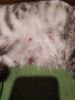 IMG_20201226_192720.thumb.jpg.37e1466b644473dab8dbe1f94b36f658.jpg