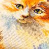 IMG_20201227_154130.thumb.jpg.a51e1acdb2851b45f14fbd807a5655fa.jpg