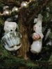 IMG_20201227_184815.thumb.jpg.e74837f9f8e4a2a53a79182490fd9ea1.jpg