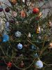 IMG_20201227_185024.thumb.jpg.9181c07a06ae8b38168245019743b8c1.jpg