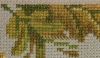 IMG_20201229_061437.thumb.jpg.eb20dfcdd731dbc5c28c176065f955b9.jpg