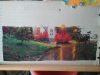 IMG_20201230_092539.thumb.jpg.e0dd4a9ac250f8526172f488f2a62e86.jpg