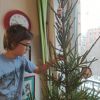 IMG_20201230_102126.thumb.jpg.63ac0a3f5f6b60ec87316d3d6c708dfb.jpg