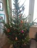 IMG_20201230_103802.thumb.jpg.bc9a468f3ff4fcb37abbde6f51656197.jpg