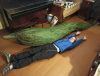 IMG_20201230_113316.thumb.jpg.539fc204c06dc59cada6e4de6937149e.jpg