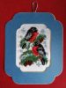 IMG_20201230_122424.thumb.jpg.21bb81a9afd79bc4bbe125bdcd12606e.jpg