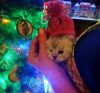IMG_20201230_191644.thumb.jpg.0ba5af8e144a358e077143d8f86693da.jpg