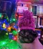 IMG_20201230_191838.thumb.jpg.36f7179b94dda95c74b73c7153afc100.jpg
