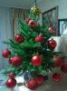 IMG_20201231_224710.thumb.jpg.cab05f438ec82c414551dbf3cb5a8062.jpg