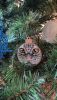 P01227-141029.thumb.jpg.6e5a0db3b6b6bc0b05a29daf25680df3.jpg