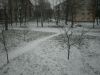 P2250008.thumb.JPG.3c0cd8ed83455126930ff47172bae6ae.JPG