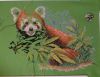 Panda5.JPG.96f859b18956938ccd9a26667bf51be4.thumb.jpg.cfa33bdd22a330deb6f2e3c2077dd6d0.jpg