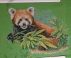 Panda6.JPG.88cdaa31fe0f30a37e5fcab1933acb59.thumb.jpg.8c9cb4150bfddf4da25abef14e653506.jpg