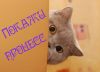 PiO2B3OFfb0.thumb.jpg.94b0574d186fcba36196480dcc0c6fec.jpg