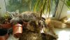 SkypePhoto_20170123_142108.thumb.jpg.a6cba77cd7084a4a44fec10834f7526a.jpg