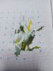 _b4GqOSCtnw.thumb.jpg.8603a7da06428224d59d15b2d74d22cb.jpg