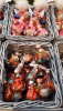 image.thumb.png.09427eb39e3b7b78d38cbb85fbc09927.png