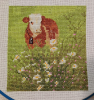 image.thumb.png.35f106bb4155f7bd7b47232adbfc0895.png