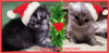 image.thumb.png.6ebde90f2e726216b82f9632924574af.png