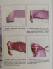 image.thumb.png.7b11eb8db9647db01915ec4841175566.png