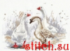 image.thumb.png.8a08fcbe5f36a62b1a8cb6e47ce94b83.png