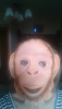 image.thumb.png.c6451e5e12968d7eec832b725a6f14ba.png