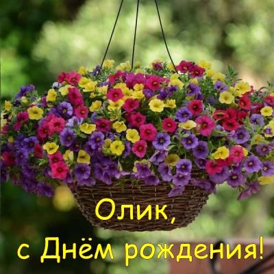 kalibrahoa-feya-cvetov-ampelnaya-smes.jpg.0878da04019ec6ada0af86c0c6dc08e0.jpg