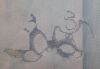 02.thumb.jpg.e822a4ad552897b60a8ddb6c58f8ae75.jpg