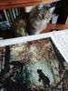 1390491476_.thumb.jpg.01049ca267ceea42a36706f4d44d7e19.jpg