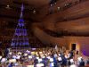 1848201216_2020-12-2519-08-38.thumb.JPG.d0fc2ddb238716920e23110c305bda4a.JPG