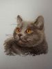 2012822281_!.thumb.jpg.0907fc641c29c6fb7c24c356386acd6f.jpg